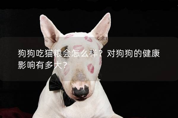 狗狗吃貓糧會(huì)怎么樣?對(duì)狗狗的健康影響有多大?