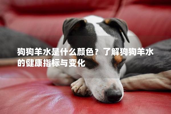 狗狗羊水是什么顏色？了解狗狗羊水的健康指標與變化