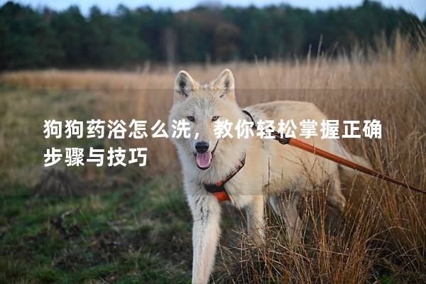 狗狗藥浴怎么洗，教你輕松掌握正確步驟與技巧