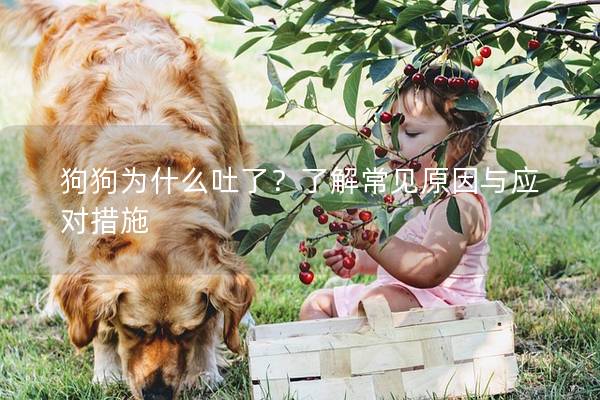 狗狗為什么吐了？了解常見原因與應對措施