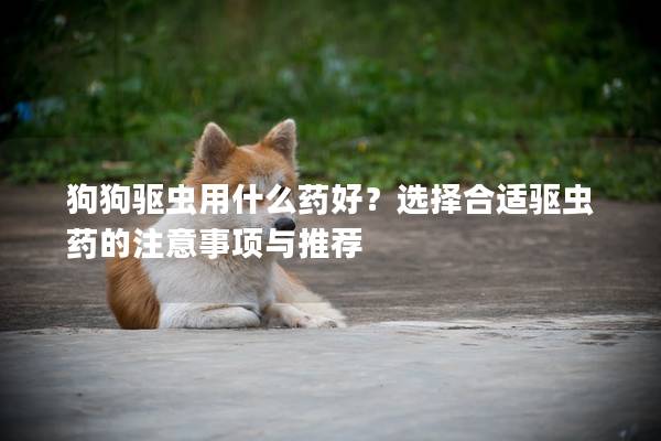 狗狗驅(qū)蟲(chóng)用什么藥好？選擇合適驅(qū)蟲(chóng)藥的注意事項(xiàng)與推薦