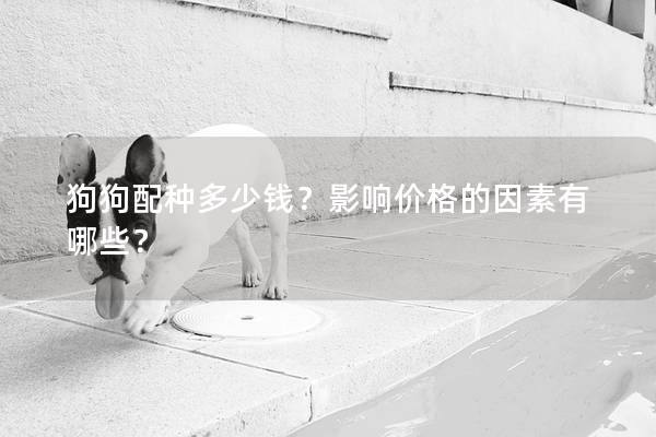 狗狗配種多少錢？影響價格的因素有哪些？
