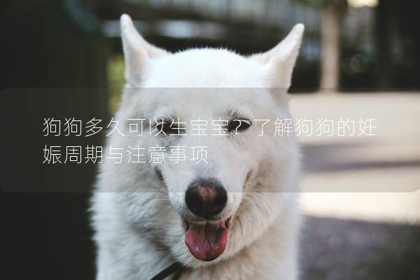 狗狗多久可以生寶寶？了解狗狗的妊娠周期與注意事項