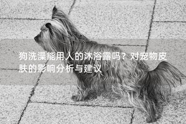 狗洗澡能用人的沐浴露嗎？對寵物皮膚的影響分析與建議