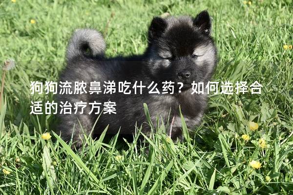 狗狗流膿鼻涕吃什么藥？如何選擇合適的治療方案