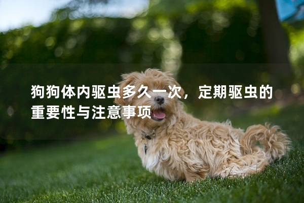 狗狗體內驅蟲多久一次，定期驅蟲的重要性與注意事項