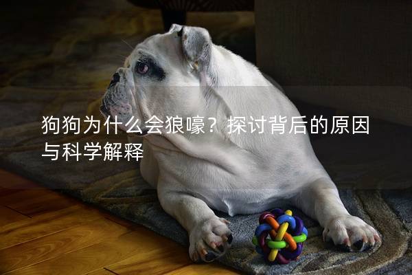 狗狗為什么會狼嚎？探討背后的原因與科學解釋