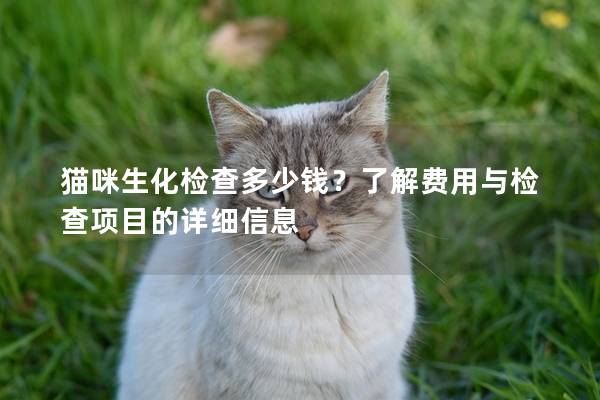 貓咪生化檢查多少錢？了解費用與檢查項目的詳細信息