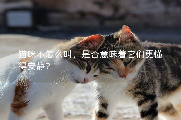 貓咪不怎么叫,是否意味著它們更懂得安靜? 貓咪不怎么叫,是否意味著它們更懂得安靜?