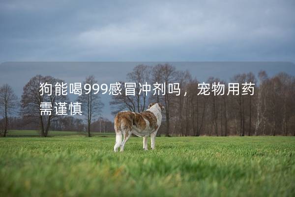 狗能喝999感冒沖劑嗎，寵物用藥需謹慎