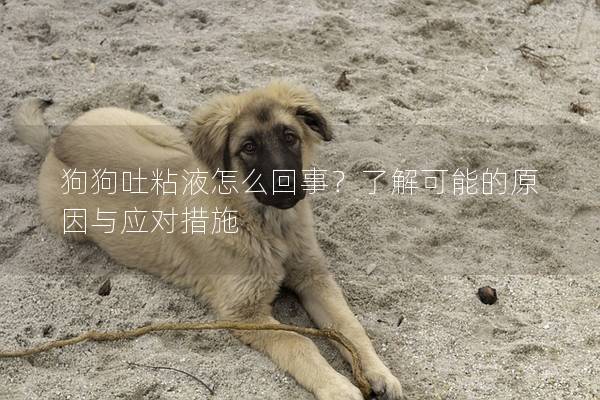 狗狗吐粘液怎么回事？了解可能的原因與應對措施
