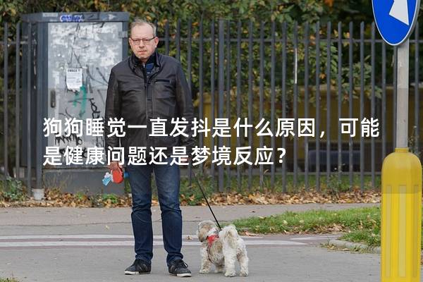 狗狗睡覺一直發抖是什么原因，可能是健康問題還是夢境反應？