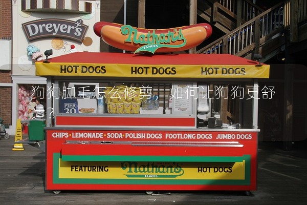 狗狗腳毛怎么修剪，如何讓狗狗更舒適？