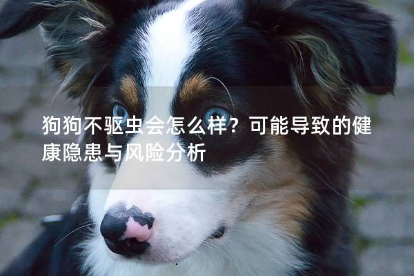 狗狗不驅(qū)蟲會怎么樣？可能導(dǎo)致的健康隱患與風(fēng)險分析