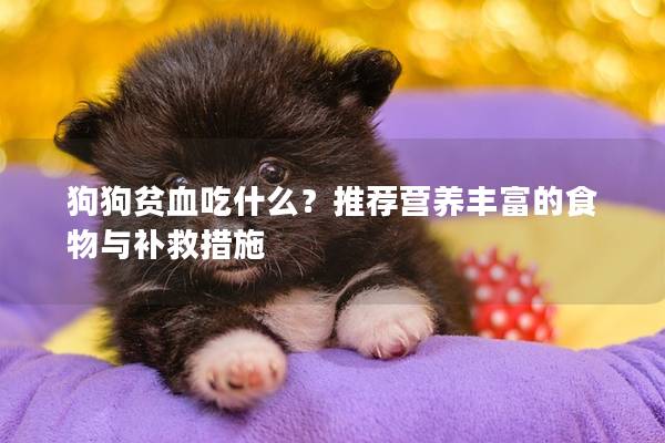 狗狗貧血吃什么？推薦營養豐富的食物與補救措施