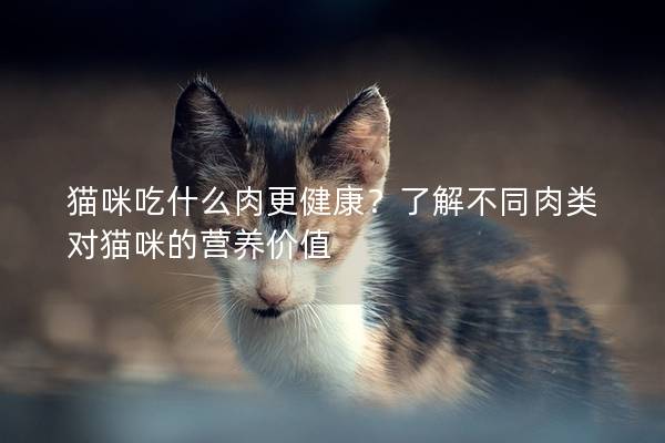 貓咪吃什么肉更健康?了解不同肉類對貓咪的營養(yǎng)價值 貓咪吃什么肉更健康?了解不同肉類對貓咪的營養(yǎng)價值