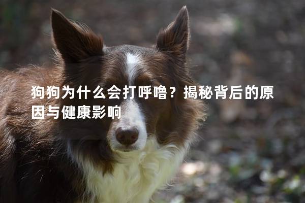 狗狗為什么會打呼嚕？揭秘背后的原因與健康影響