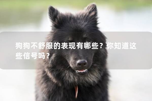 狗狗不舒服的表現(xiàn)有哪些？你知道這些信號嗎？