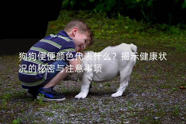 狗狗便便顏色代表什么？揭示健康狀況的秘密與注意事項