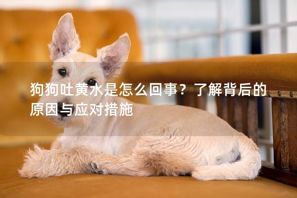狗狗吐黃水是怎么回事？了解背后的原因與應(yīng)對措施