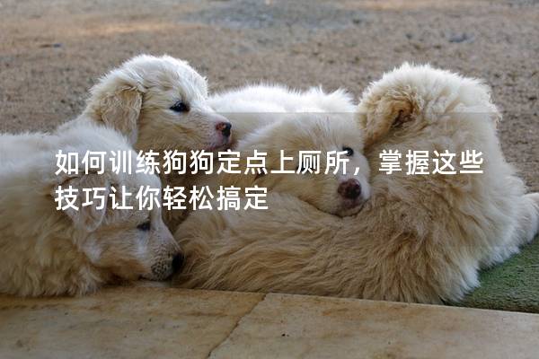 如何訓(xùn)練狗狗定點(diǎn)上廁所，掌握這些技巧讓你輕松搞定
