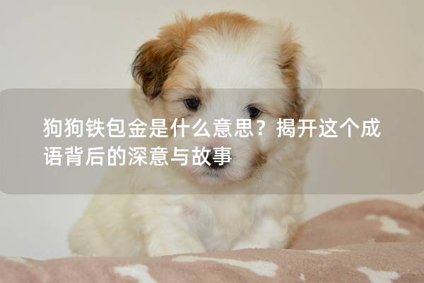 狗狗鐵包金是什么意思？揭開這個成語背后的深意與故事