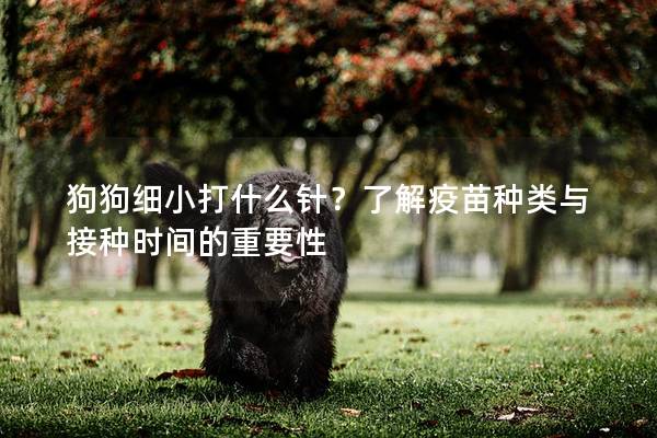 狗狗細小打什么針？了解疫苗種類與接種時間的重要性