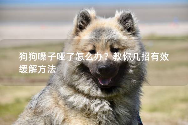 狗狗嗓子啞了怎么辦？教你幾招有效緩解方法