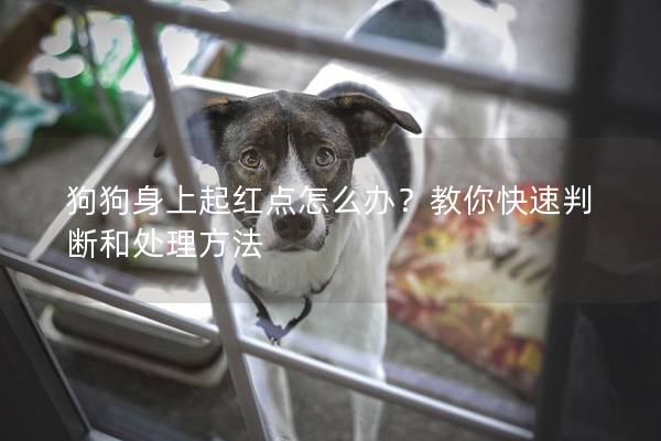 狗狗身上起紅點(diǎn)怎么辦？教你快速判斷和處理方法