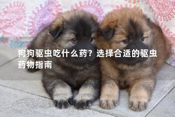 狗狗驅(qū)蟲吃什么藥？選擇合適的驅(qū)蟲藥物指南
