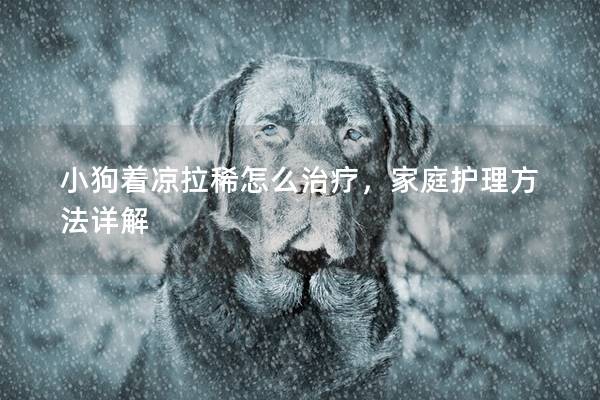 小狗著涼拉稀怎么治療,家庭護理方法詳解 小狗著涼拉稀怎么治療,家庭護理方法詳解
