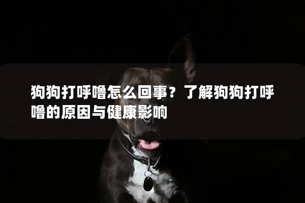 狗狗打呼嚕怎么回事？了解狗狗打呼嚕的原因與健康影響