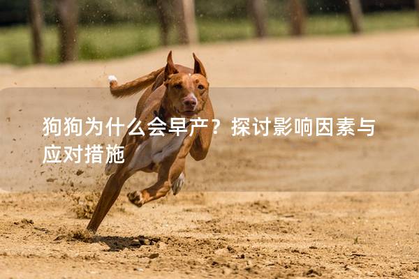 狗狗為什么會早產？探討影響因素與應對措施
