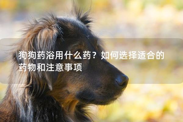 狗狗藥浴用什么藥？如何選擇適合的藥物和注意事項(xiàng)