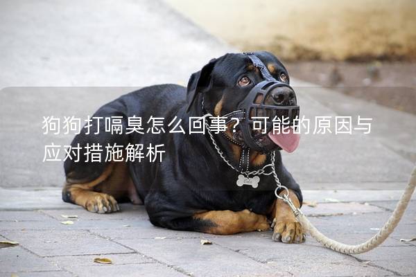 狗狗打嗝臭怎么回事？可能的原因與應(yīng)對措施解析