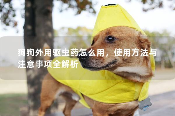狗狗外用驅蟲藥怎么用，使用方法與注意事項全解析
