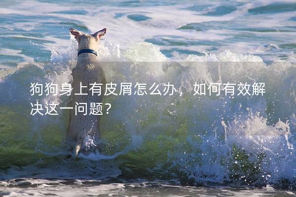 狗狗身上有皮屑怎么辦，如何有效解決這一問題？