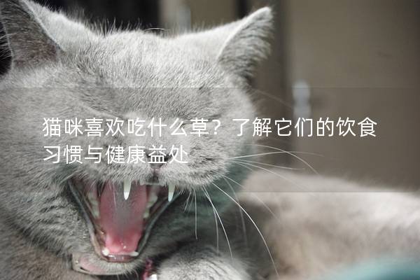 貓咪喜歡吃什么草？了解它們的飲食習(xí)慣與健康益處