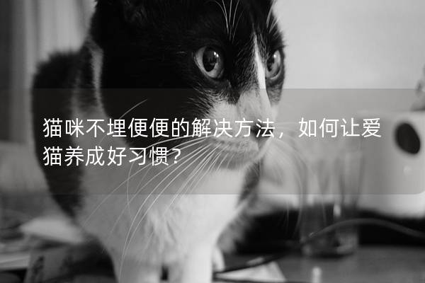 貓咪不埋便便的解決方法，如何讓愛(ài)貓養(yǎng)成好習(xí)慣？