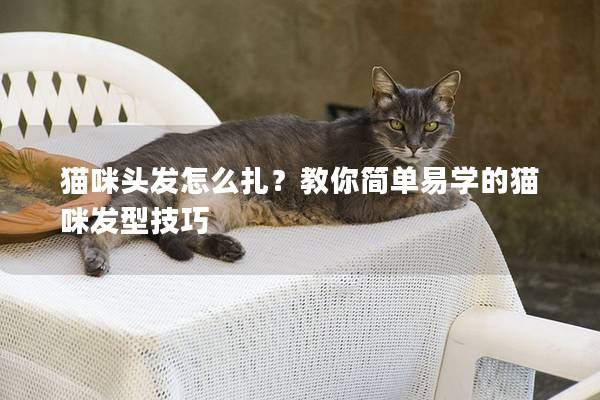 貓咪頭發怎么扎？教你簡單易學的貓咪發型技巧