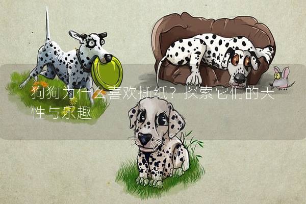 狗狗為什么喜歡撕紙？探索它們的天性與樂趣