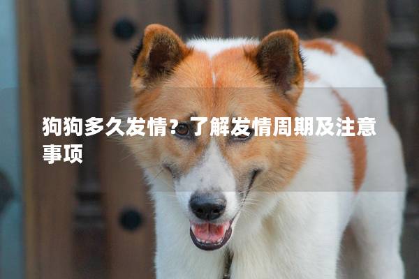 狗狗多久發(fā)情？了解發(fā)情周期及注意事項