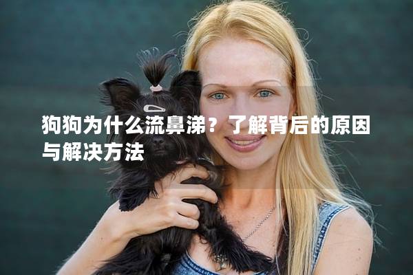 狗狗為什么流鼻涕？了解背后的原因與解決方法