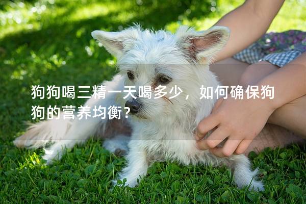 狗狗喝三精一天喝多少，如何確保狗狗的營(yíng)養(yǎng)均衡？
