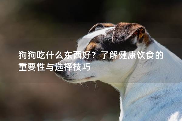 狗狗吃什么東西好？了解健康飲食的重要性與選擇技巧