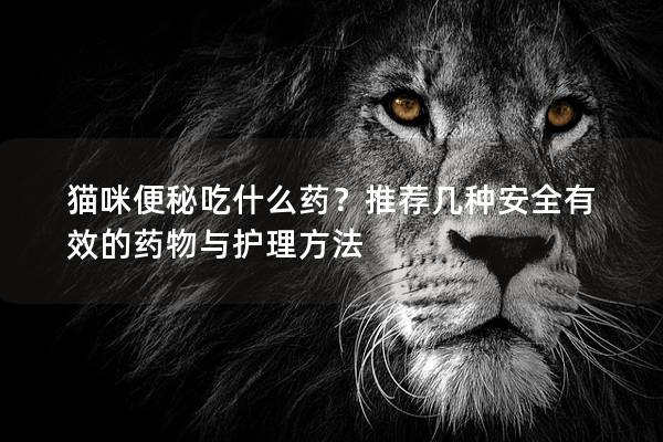 貓咪便秘吃什么藥？推薦幾種安全有效的藥物與護理方法