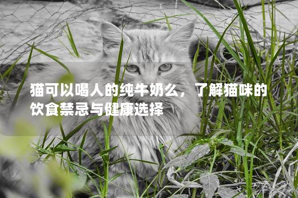 貓可以喝人的純牛奶么，了解貓咪的飲食禁忌與健康選擇