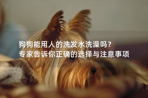 狗狗能用人的洗發水洗澡嗎? 專家告訴你正確的選擇與注意事項 狗狗能用人的洗發水洗澡嗎? 專家告訴你正確的選擇與注意事項