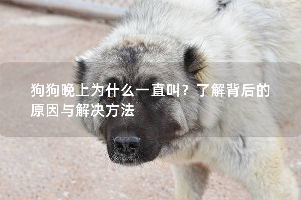狗狗晚上為什么一直叫？了解背后的原因與解決方法