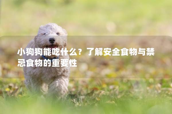 小狗狗能吃什么？了解安全食物與禁忌食物的重要性